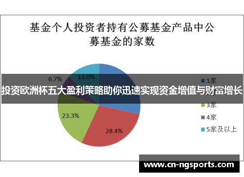 投资欧洲杯五大盈利策略助你迅速实现资金增值与财富增长
