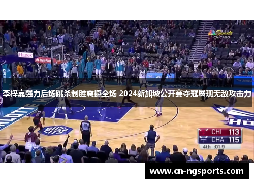 李梓嘉强力后场跳杀制胜震撼全场 2024新加坡公开赛夺冠展现无敌攻击力