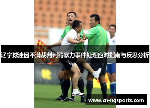 辽宁球迷因不满裁判判罚暴力事件处理应对指南与反思分析